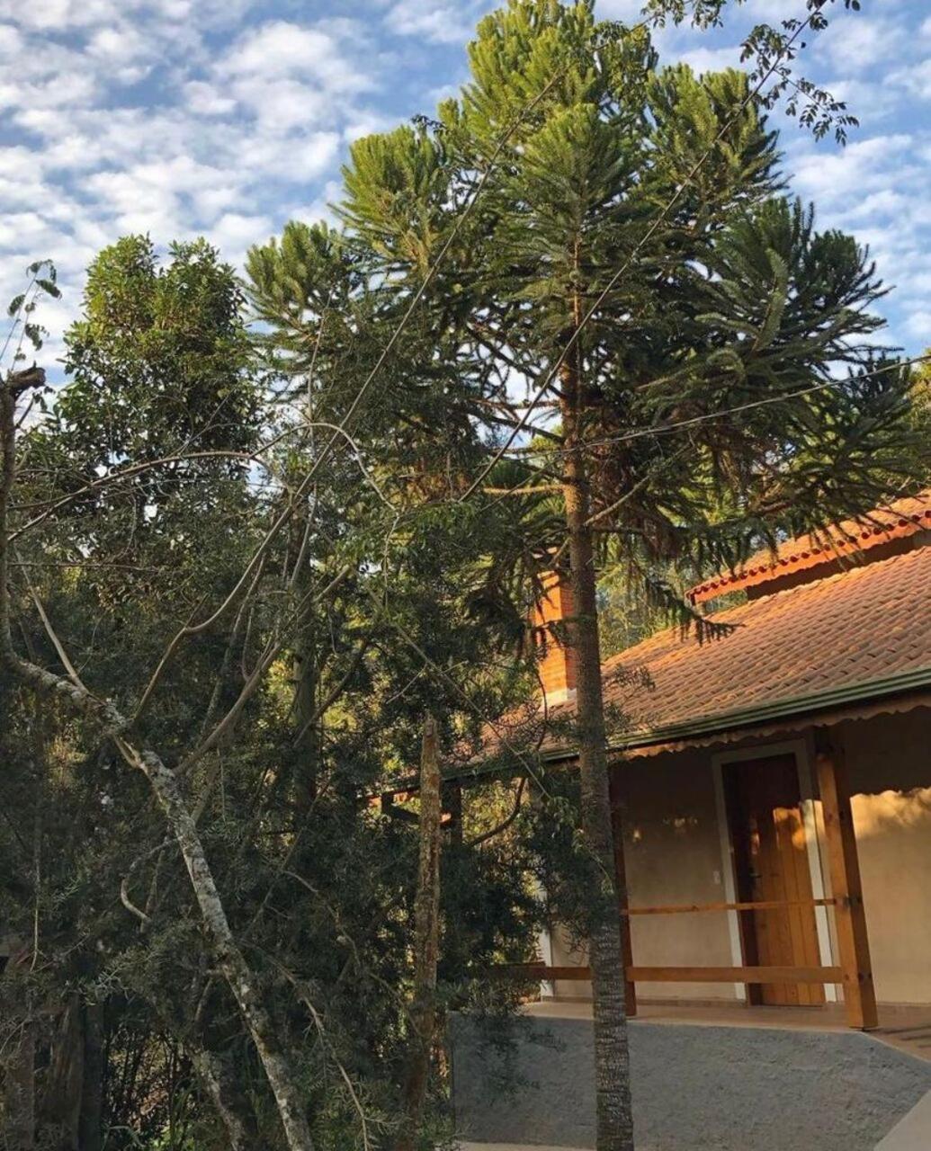 Terrace House Villa Монте Верде Екстериор снимка